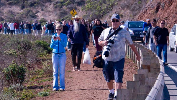 Crowd walking down the Marin Headlands road after the Endeavour flyby