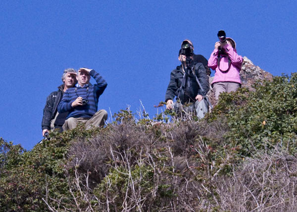 Shuttle watchers in the Marin Headlands