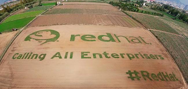 Giant Red Hat shadowman logo in field, with message, "Calling all enterprisers"