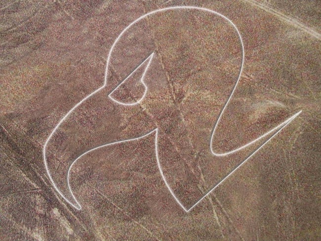 The vulture logo seen in the Nazca lines