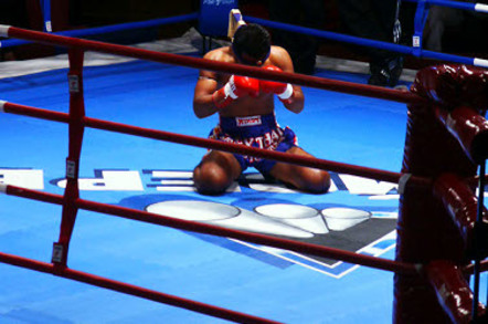 Boxer defeated. Pc credit: Sergey Barkov via SXC