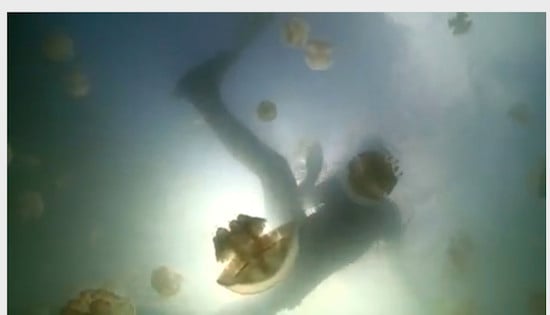 Brian Cox swimming with jellyfish in the video for the new Galaxy Song, credit screengrab BBC video