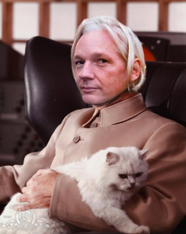 Julian Assange as Blofeld