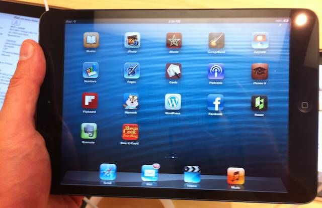 An iPad Mini held one-handed in landscape mode