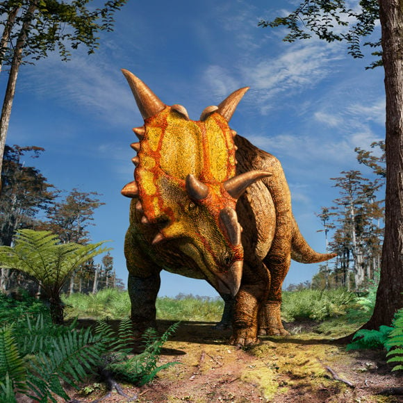 Artist&#39;s impression of Xenoceratops