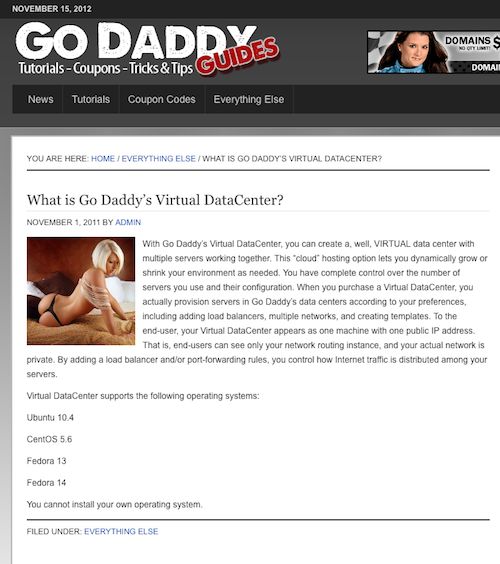 Screengrab of GoDaddy's Virtual Datacenter completely with saucy minx