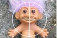 Troll in cross hairs