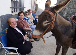 Donkeys and old timers in Los Narros