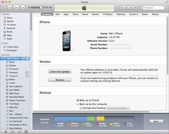 iTunes 10: iPhone