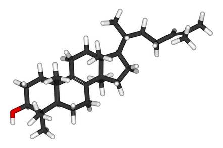 Lanosterol 3D stick model