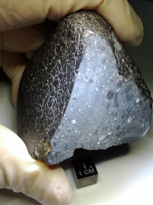 Martian meteorite Black Beauty