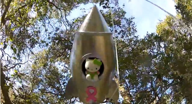 The Hello Kitty stuck in a tree after its descent