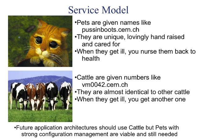 Are your servers pets or cattle?