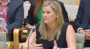 Microsoft Australia's Managing Director Pip Marlow at Australia's inquiry into IT pricing