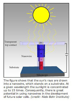 Illustration: nanowires as used in the development of solar cells
