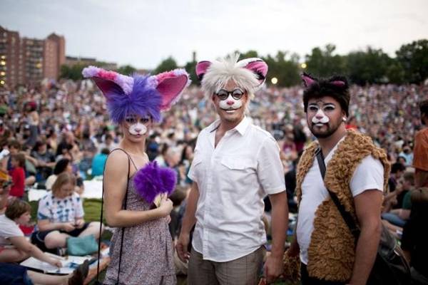 cat video festival costumes