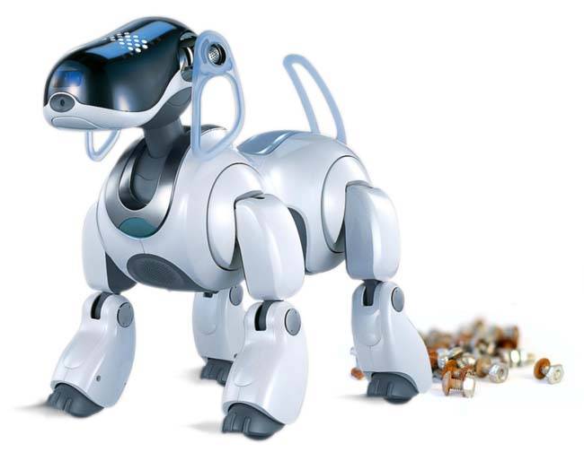 Robo doggy doo