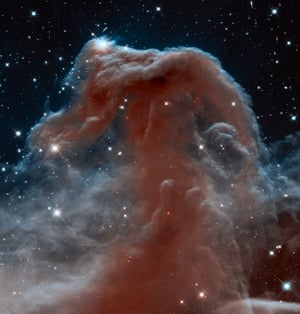 Infrared image of the Horsehead Nebula