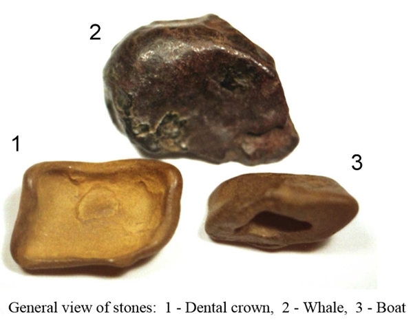 Tunguska meteorite samples