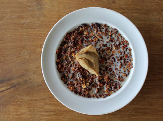 Bee larvae granola with bee larvae yoghurt, Nordic Food Lab, Copenhagen