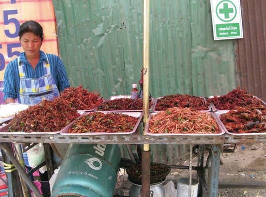 A variety of insects for sale as street food in Bangkok, Thailand