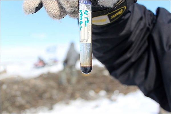 Blood from a 10,000 year-old mammoth