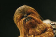 Chewbacca