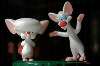 Pinky and the Brain