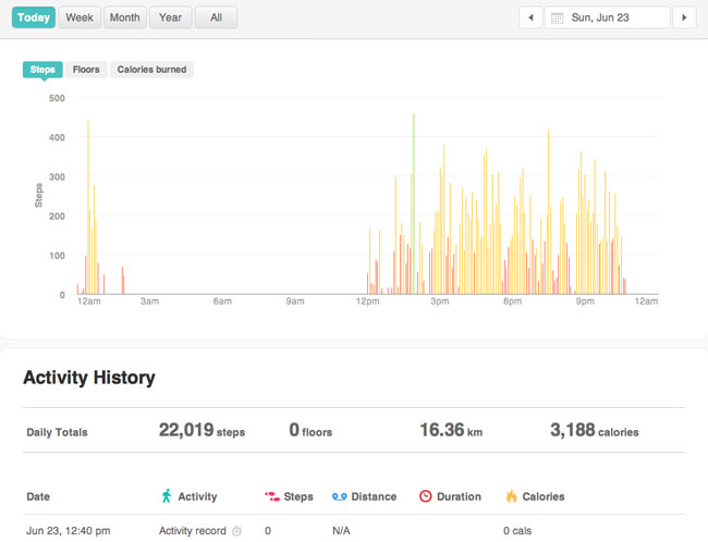 Fitbit Flex activity monitor daily record