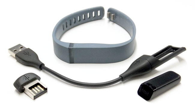 Fitbit Flex activity monitor components