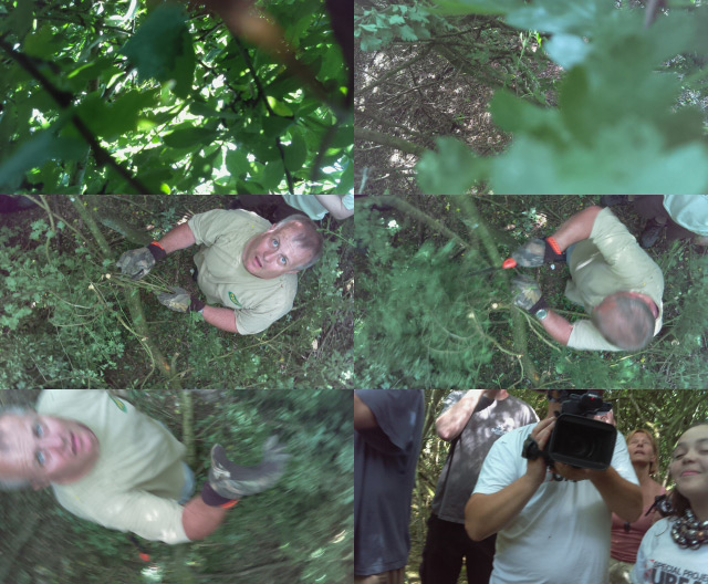 Montage of stills from the CHAV Picam as the aircraft is teased from the treetops