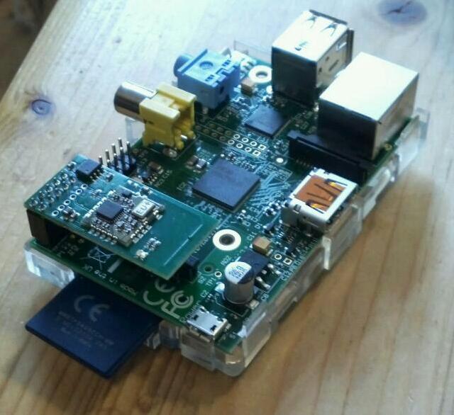 ripbot264 raspberry pi