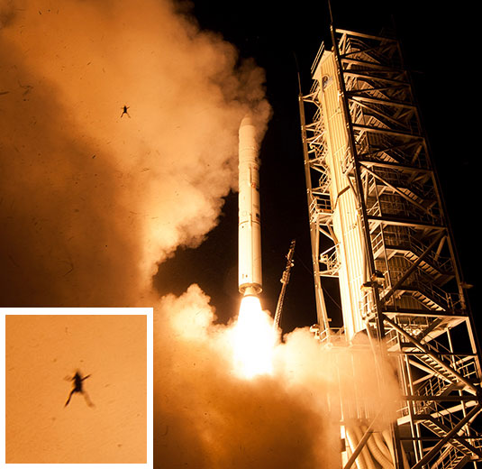 Photo of a frog captured during the NASA LADEE launch