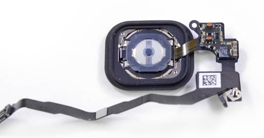 Apple iPhone 5s: fingerprint sensor