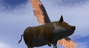 Flying pig