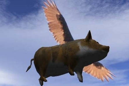 Flying pig