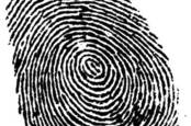 fingerprint