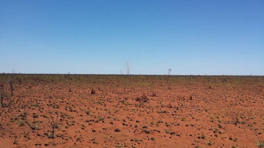 The Tanami Desert en route to Willowara