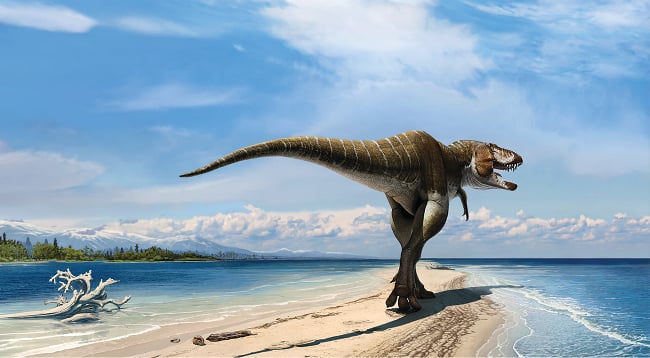 Artist's impression of the Lythronax argestes