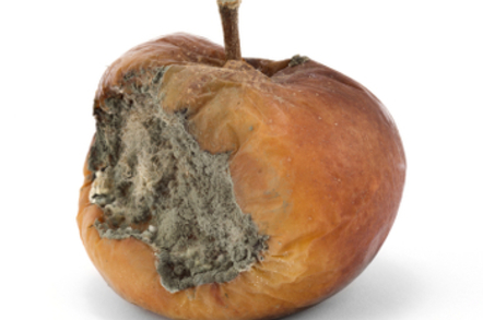 Rotten apple