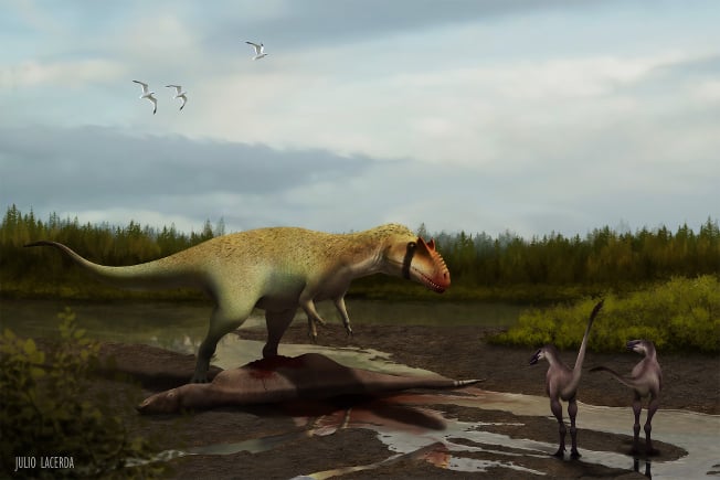 Siats eating an iguanodontian and intimidating early, small-bodied tyrannosauroids.