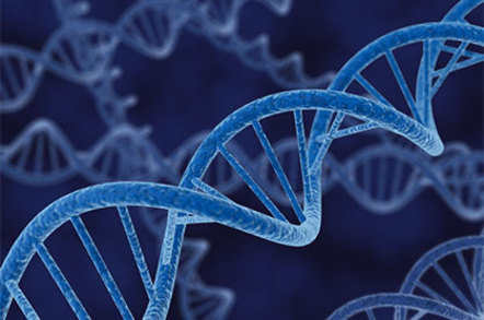 DNA
