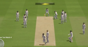 Ashes Cricket 2013