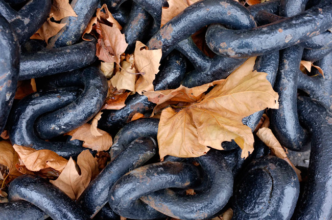 Snap of chains and leaves on the Fujifilm FinePix X100 Astia setting