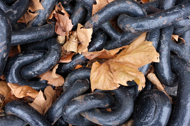 Snap of chains and leaves on the Fujifilm FinePix X100 Provia setting