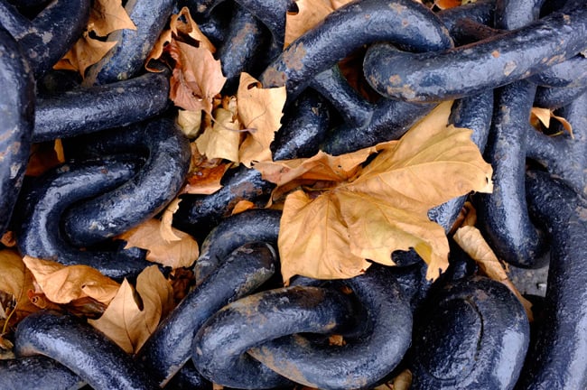 Snap of chains and leaves on the Fujifilm FinePix X100 Velvia setting
