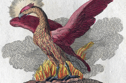 Phoenix