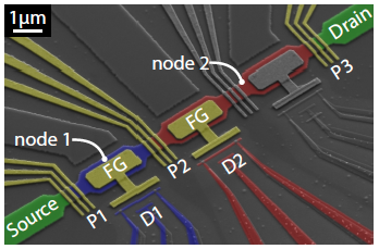 Quantum amp device