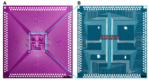 The Harvard/MITRE nanoFSM