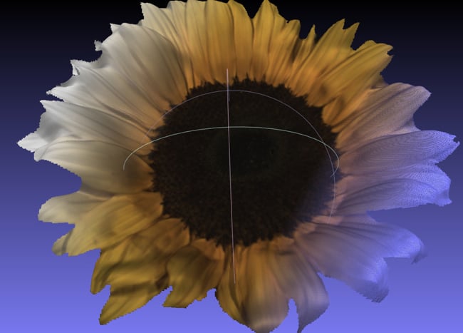 Sunflower scanned by the Fuel3D